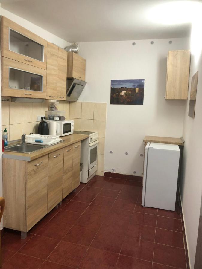 Penzion Duong Apartments Karlovy Vary Eksteriør bilde